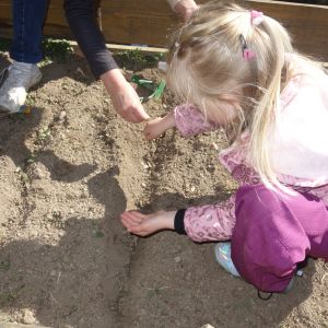 Pejsek_jarní sázení 2026