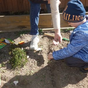 Pejsek_jarní sázení 2026