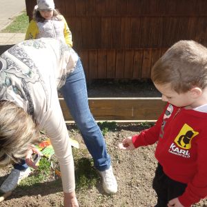 Pejsek_jarní sázení 2026