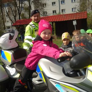 Kočičky_Den bezpečnosti 2026