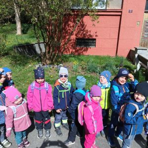 Kuřátka_duben 2026