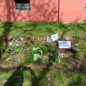 Kuřátka_duben 2026