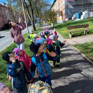 Kuřátka_duben 2026