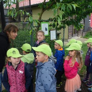 Výlet_Zvířátkov 2026