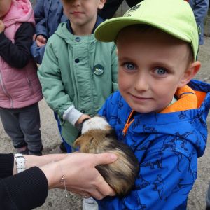 Výlet_Zvířátkov 2026