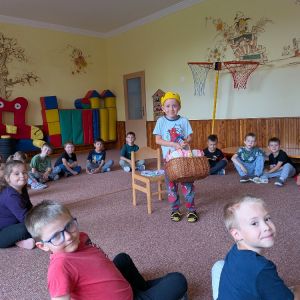 Kočičky_červen 2026