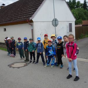 Škola v přírodě_Kožli 2026