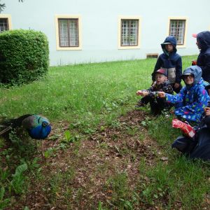 Škola v přírodě_Kožli 2026