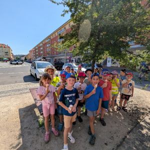 Kočičky_červen 2026