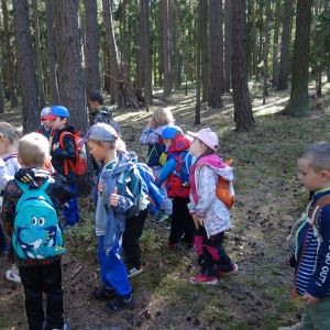 Předškoláci_Výlet do Orlova_2026